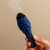 Sage Smudge Stick 4" (Torch Nag Champa 4")
