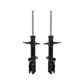 PM Auto Pair of 2 Rear Left-Right Suspension Strut Assembly For 2005 2006 Toyota Avalon