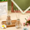 Roshtia 20 Set Reed Diffuser Bottle Empty Fragrance Glass Diffuser