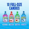 Baby Bottle Pop Candy Lollipops Variety Party Pack - 10