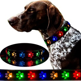 DOGLED - Collar de perro con luz LED subversiva USB-C con diseño de pata 3D, material cómodo y suave, iluminación multicolor (S(7.8-11.8 pulgadas), negro)