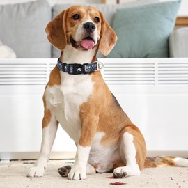 ONEFOJOJO Reflective Dog Collar with Skull Patterns, Boy & Male Dog Collar, Adjustable Safety Nylon Collars for for Medium Large Dogs (Skull XL)