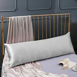 Cozysilk 100% Silk Body Pillowcase for Hair & Skin with Hidden Zipper, 20 Momme Silk Body Pillow Pillowcase, Pure Mulberry Silk Maternity Pillow Cover for Women Pregnancy (20 x 54, Grey)