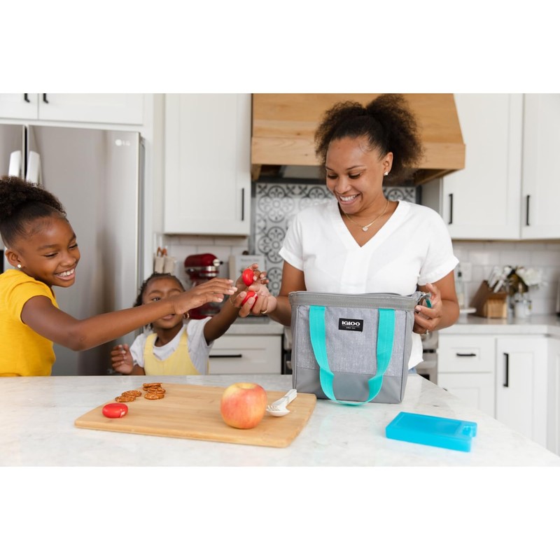 Igloo Maxcold Small Ice Block, 2-Pack, Blue