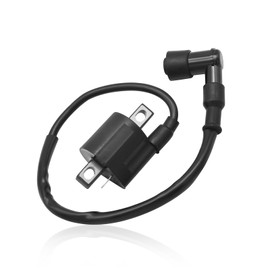 Wai Danie Ignition Coil Compatible with Suzuki Compatible with Kawasaki Compatible with Yamaha PW50 PY50 PW80 CG125 RM250 RM125 ATV Scooter Motorcycle Quad Dirt Bike
