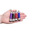 2.5" Flashlight Keychain (12 Pack) 5 LED Lights Bright Flash