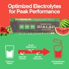 Generic Dialed Moods Electrolyte Powder - Watermelon Wipeout – Electrolyte