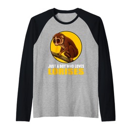 Mens Just a Boy who Loves Lorises Loris Raglan Baseball Tee