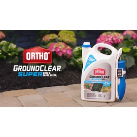 Ortho GroundClear Super Weed and Grass Killer1 with Comfort Wand, 1 gal.