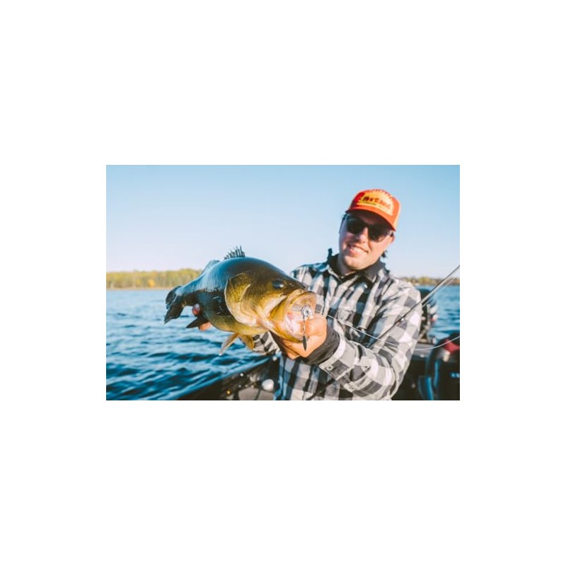 Northland Fishing Tackle Smeltinator Underspin Jig Head, Premium Bass Fishing