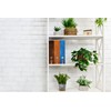 Lederluxus Cognac Lever Arch File DIN A4 Approx. 8 cm