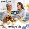 SCENTORINI Ocean Dried Flower Potpourri 240g Blue Petals Essential Oil