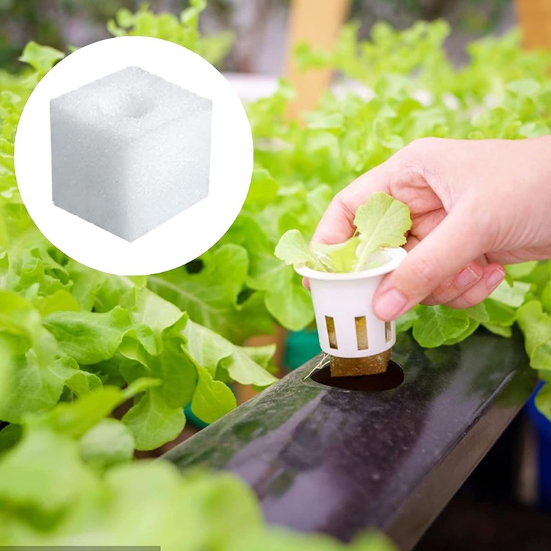 Hydroponic Sponge Blocks, Set of 100/200 Pieces, Polyurethane Sponges, Planting