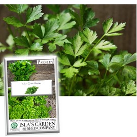 "Italian Giant" Parsley Seeds for Planting, 1000+ Seeds Per Packet, (Isla's Garden Seeds), Non GMO & Heirloom Seeds, 90% Germination Rate, Botanical Name: Petroselinum crispum, Herbs