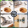 WTTUOAM 200 Pcs Plastic Hinge Dowel Inserts with Screws 8.1mm