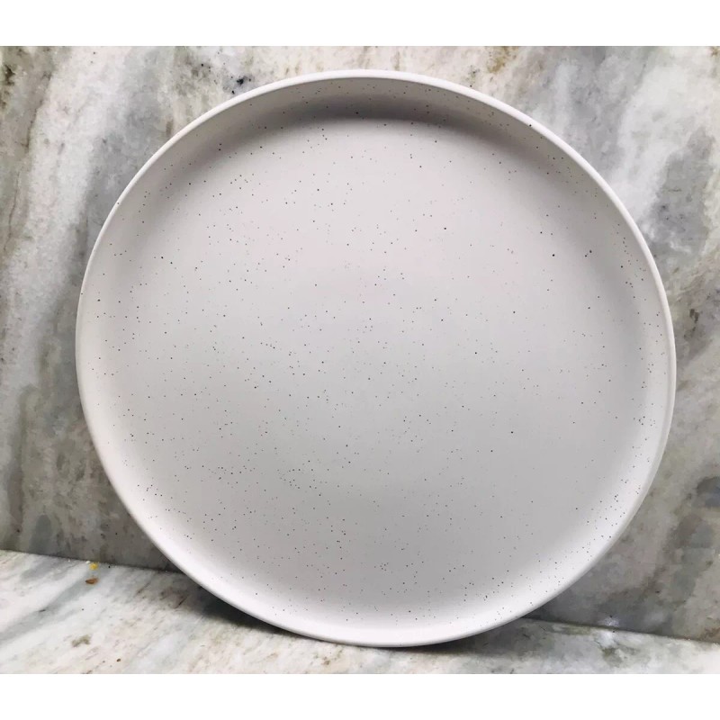 Studio 3B Mio 10.5” Ceramic Serving/Dinner Sea Salt Plate Bed