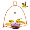 Apipi Extra Large Oriole Feeders for Outdoors with 14.2 oz