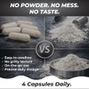 Creatine Monohydrate 240 Vegan Capsules – 3000mg per Serving |