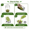 4 Pack Sprouting Jar Kit with Wide Mouth Mason Jars,Lids,Stands,Trays