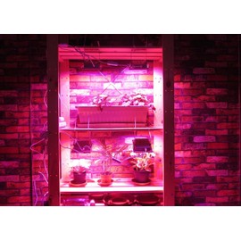 ACKE LED Grow Lights Full Spectrum,Plant Lights，Growing Lamps 12W for Indoor Plants,Hydropoincs