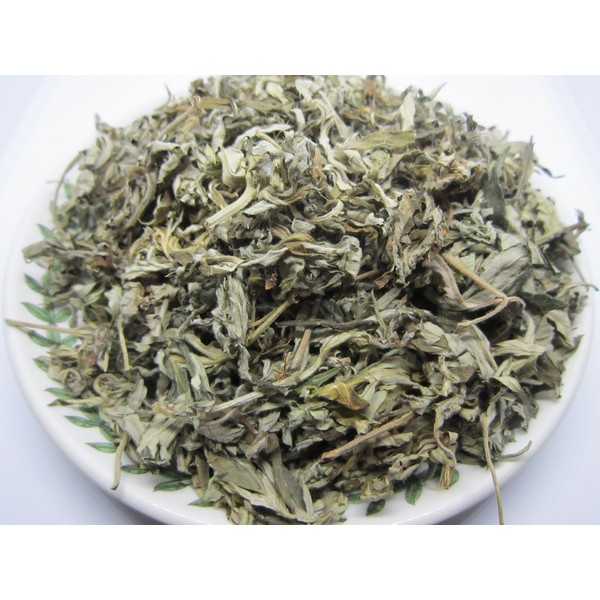Chinese Mugwort - Artemisia argyi 艾葉 (약쑥) Dried Loose Leaf by Nature Tea (1 oz)