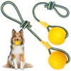 Hsei 2 Pcs Large 3.5inch Dog Toy Ball on a