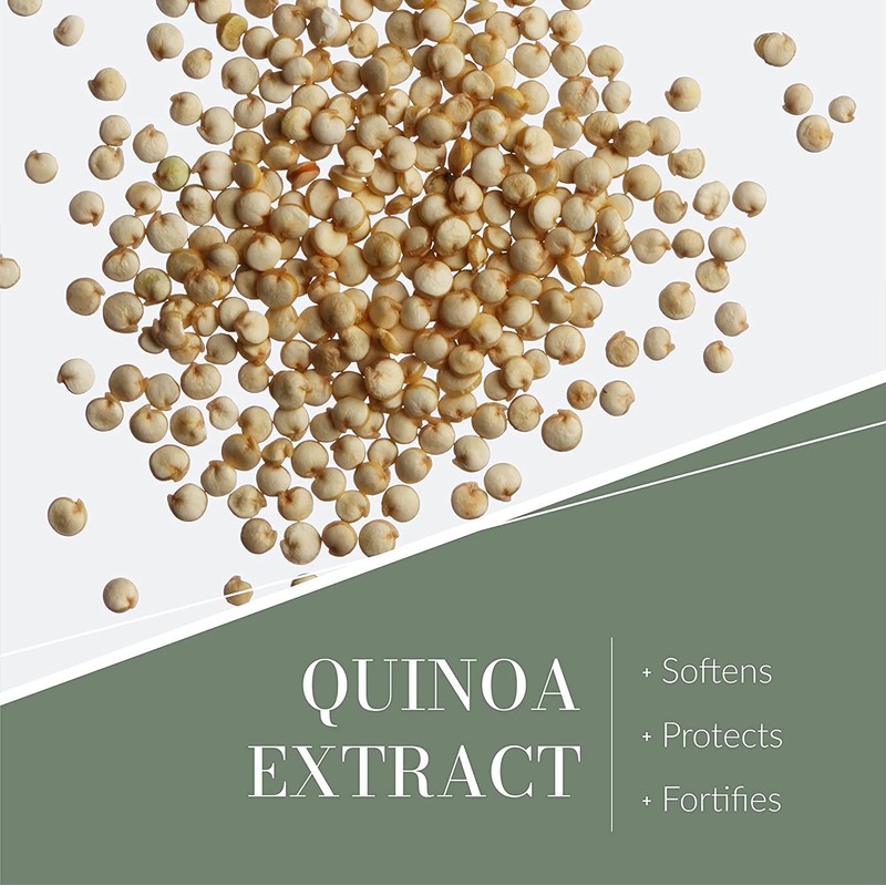 Leonor Greyl Paris - Shampooing Reviviscence - Specific Shampoo for