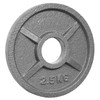 POWER EXTREME Cast Iron Weight Plates with 2 Grip Holes,