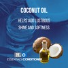 Pure Paws H2O Essentials Conditioner | Extreme Coconut Moisturizing Hydration