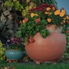 terraced® - Set of 4 - Saucer Flower Pot -