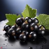 Blackcurrant High Strength Flavouring - 230+ Flavours - Galaxy Food