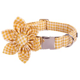 Lionet Paws Dog Collar with Flower, Soft and Comfortable, Adjustable Collar for Medium Dogs Girl, Neck 13.5-22 inches