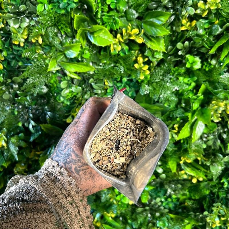 Lung Support (Smoker's Tea/Respiratory loose leaf blend) - Specification: One