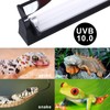 Aiicioo T5 UVB Lighting Combo Kit - Desert 10.0 Terrarium
