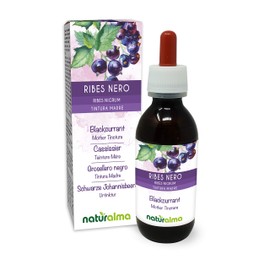 Blackcurrant (Ribes Nigrum) Leaves and Fruits Alcohol-Free Original Tincture Natural Alma Liquid Extract Drops 120 ml Dietary Supplement Vegan