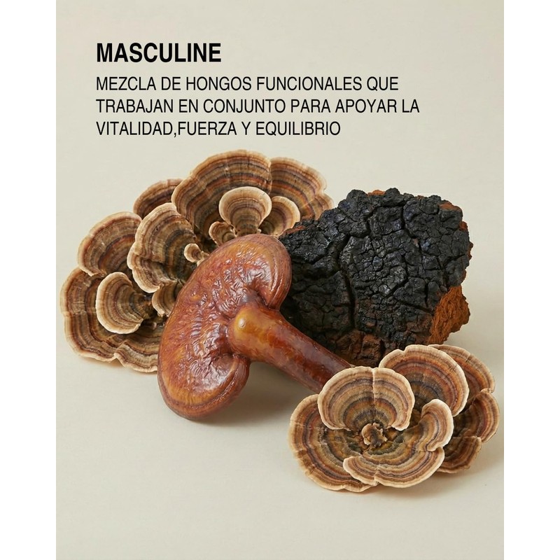 Masculine Vitality Micelia Labs Energía, resistencia y bienestar masculino Cordyceps