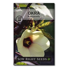 Sow Right Seeds - Burgundy Okra Seed for Planting - Non-GMO Heirloom Packet with Instructions to Plant a Home Vegetable Garden - Striking Red Pods on Top of Tall Stalks - Make Fried Okra (1)