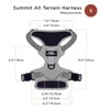Summit All-Terrain Dog Harness - Gold (Small)