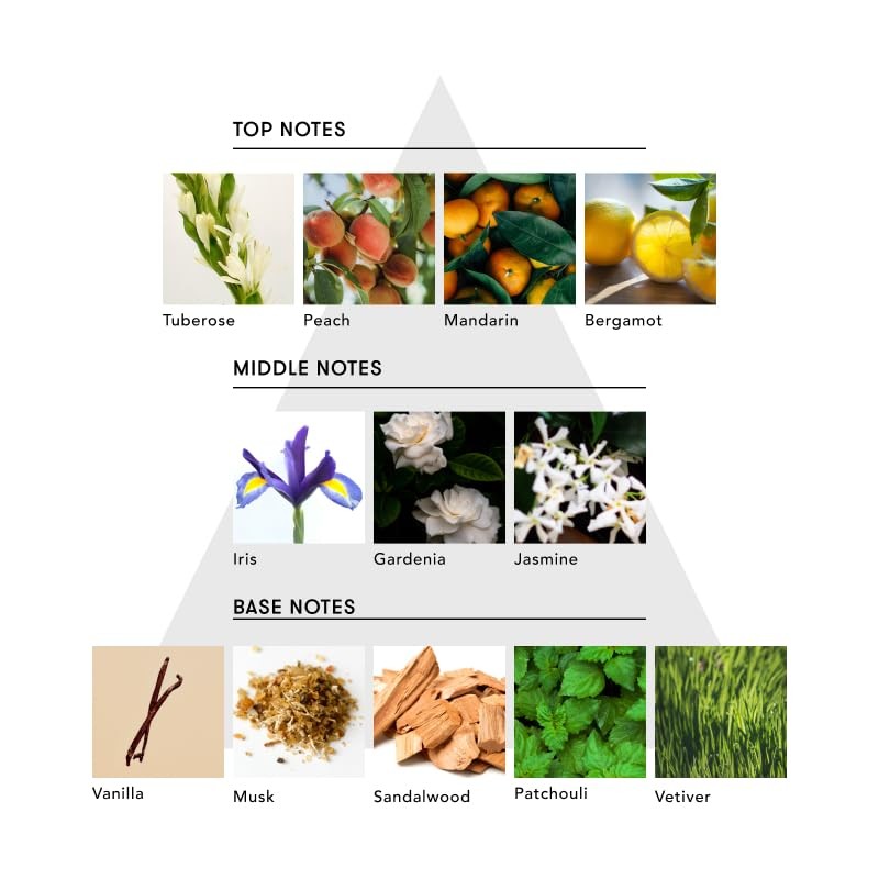 SINN PURETE Mindful Shampoo/Treatment (Treatment, Moisture)