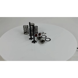 GY6 STORE 69mm INTAKE EXHAUST VALVE SET 50cc 60cc 80cc 100cc QMB139 MOTORS TAO WOLF GATOR