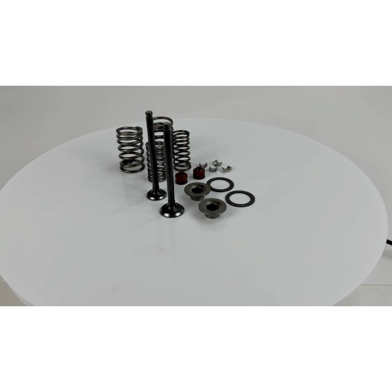 GY6 STORE 69mm INTAKE EXHAUST VALVE SET 50cc 60cc 80cc