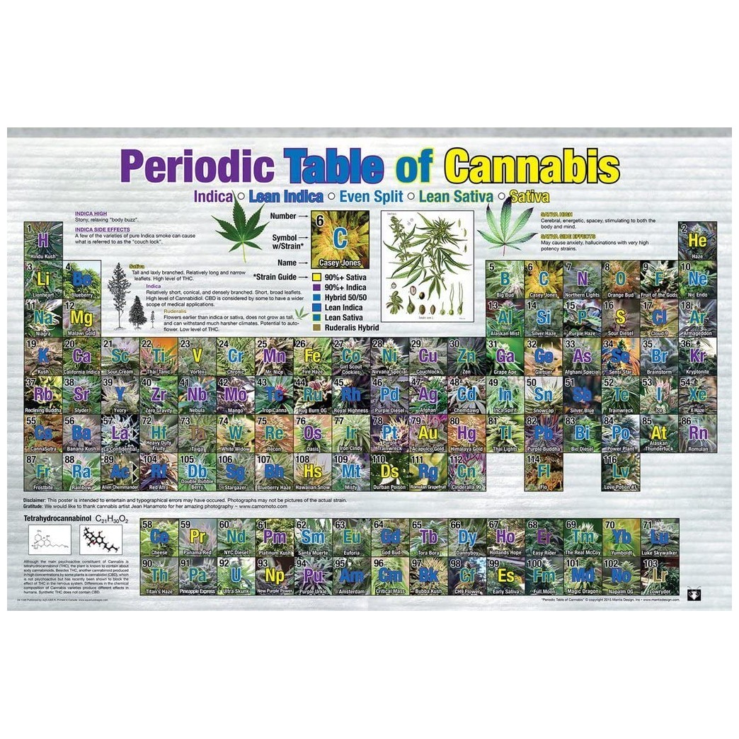 Studio B Periodic Table of Cannabis Reference Chart Poster 36x24