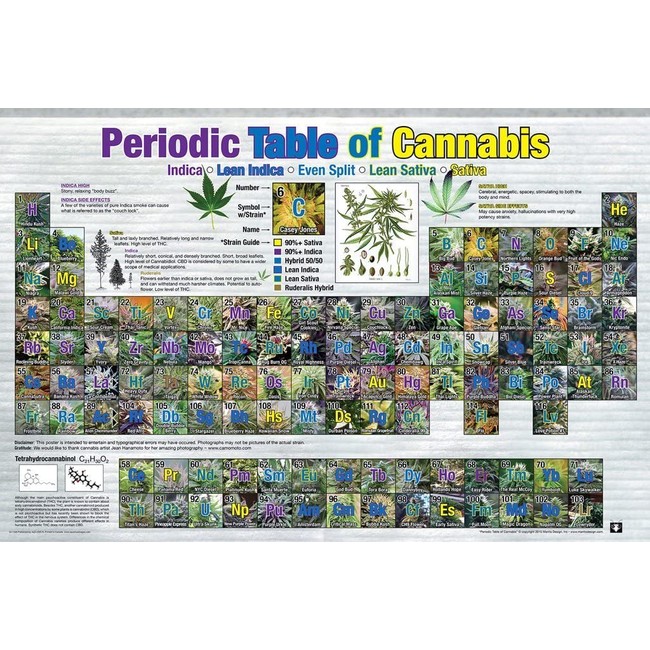 Studio B Periodic Table of Cannabis Reference Chart Poster 36x24