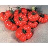 Costoluto Genovese The Ugly Tomato Seed