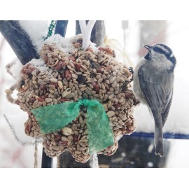 Handmade Flower Bird Seed Feeder reinforced with hanger - Wreath - ships free! - Shelled Sunflower and Nuts