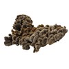 Turkey Tail Mushroom 60g