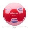 ミカサ(MIKASA) スマイルフットサル 3号 EVA素材 約260g ピンク 貼りボール SFLL3-P 推奨内圧0.10~0.15(kgf/㎠)