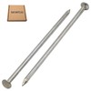 SKIR'CO (10 pcs) Zinc Plated Construction Nails 4.0 x 120