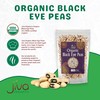 Jiva Organics Organic Black Eye Peas 2 Pound Bag -