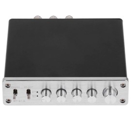 Hyuduo Amplificador de Audio Digital 100W, Estéreo Portátil, Aleación de Aluminio, DC12V-24V, Compacto para Música Doméstica                          